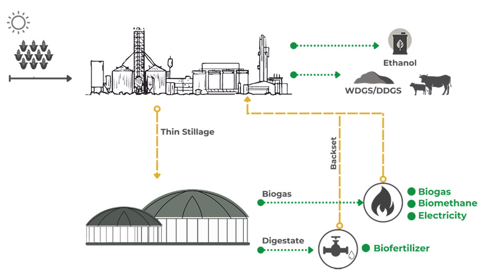 Ethanol biogas