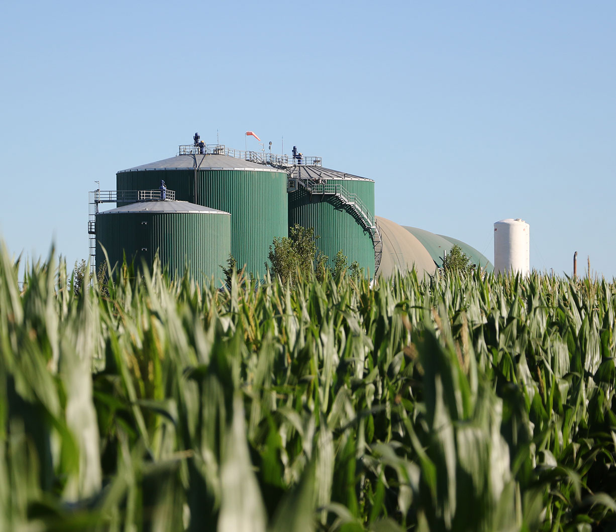 Biogas ethanol